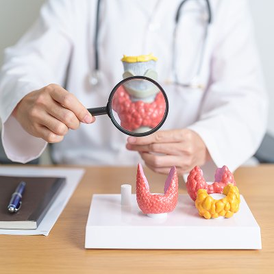 Endocrinology Service