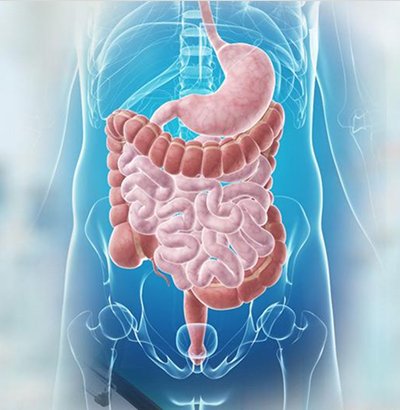 Gastroenterology Service